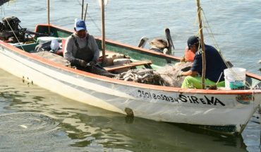 Nulo presupuesto federal a pesca desanima a pescadores de Ahome
