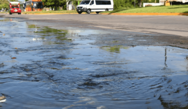 Sewage leak kills fish in Mazatlan estuary