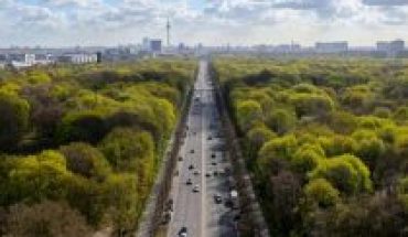 Trees in urban spaces help cool cities, study suggests