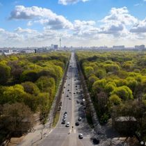 Trees in urban spaces help cool cities, study suggests