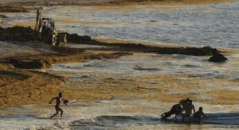Cofepris revela las cinco playas más contaminadas de México