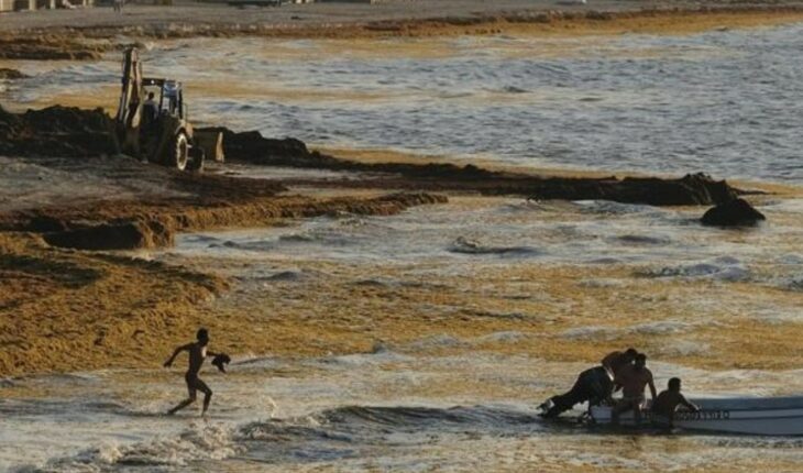 Cofepris revela las cinco playas más contaminadas de México
