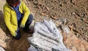 Confirman en Chile una nueva especie de dinosaurio acorazado