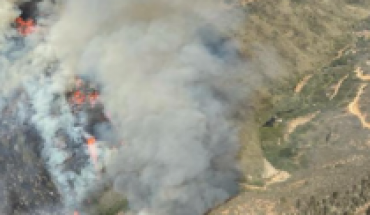 Decretan alerta roja en Algarrobo por incendio forestal: más de 50 hectáreas consumidas