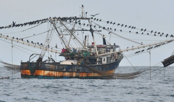 Destinan 201 millones de pesos al sector pesquero en Sinaloa