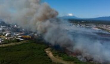 Fires remain active in O'Higgins, Ñuble, La Araucanía and Los Lagos: they add up to more than 10 thousand hectares damaged