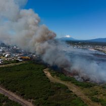 Fires remain active in O'Higgins, Ñuble, La Araucanía and Los Lagos: they add up to more than 10 thousand hectares damaged