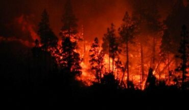 Incendios en la Patagonia: hay focos activos en Río Negro, Neuquén y Chubut