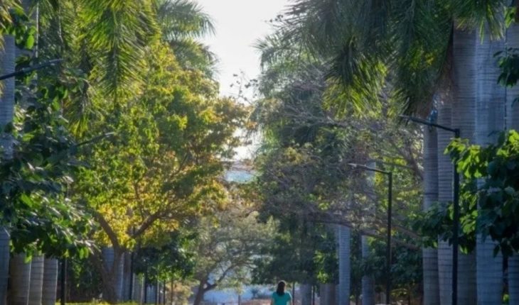 Jardín Botánico de Culiacán se compromete a colaborar con autoridades