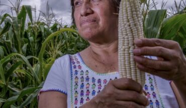 México se afianza como el séptimo productor agropecuario