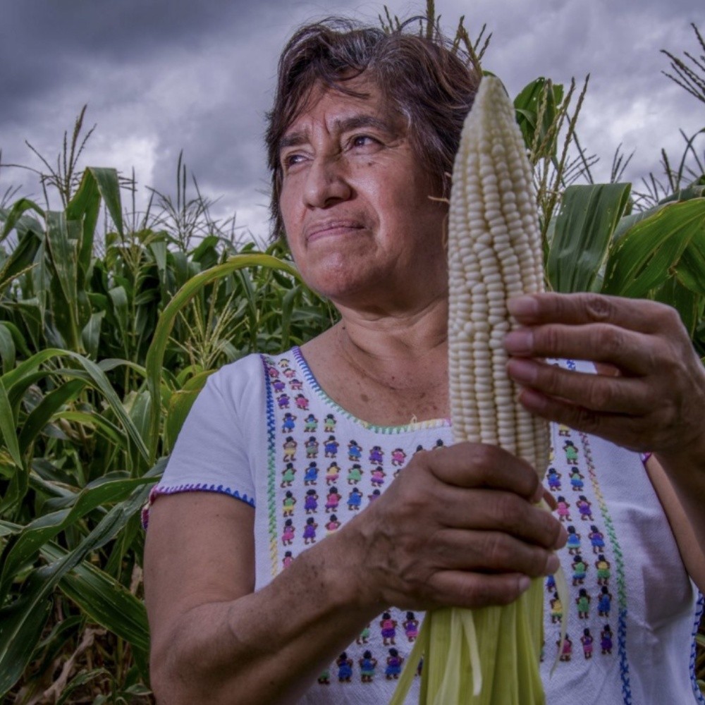 México se afianza como el séptimo productor agropecuario