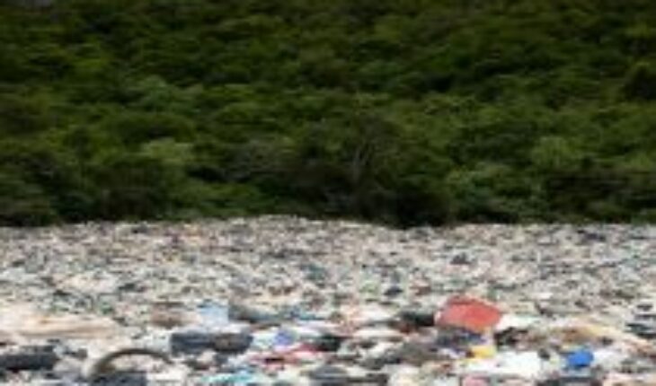 Recycling of plastics in Chile grew by 11% despite the pandemic according to study