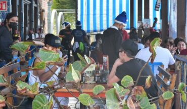 Reservaciones alcanzan el 100% de habitaciones en Mazatlán