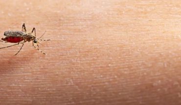 Se registran cinco casos de dengue dentro de la UAS