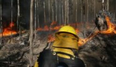 Trece incendios forestales en combate y al menos 6 alertas: Metropolitana, O’Higgins, Ñuble, Biobío, La Araucanía y Los Lagos son las regiones afectadas