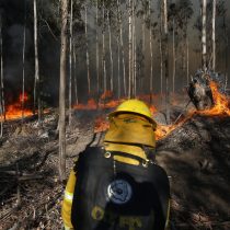 Trece incendios forestales en combate y al menos 6 alertas: Metropolitana, O’Higgins, Ñuble, Biobío, La Araucanía y Los Lagos son las regiones afectadas