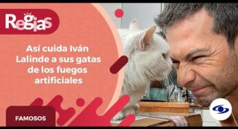 Video: Iván Lalinde confesó que tiene una gata sorda, así la cuida de los fuegos artificiales- Caracol TV