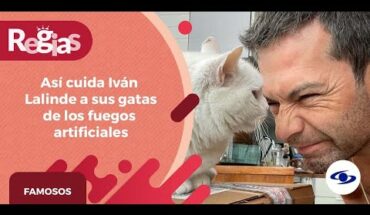 Video: Iván Lalinde confesó que tiene una gata sorda, así la cuida de los fuegos artificiales- Caracol TV