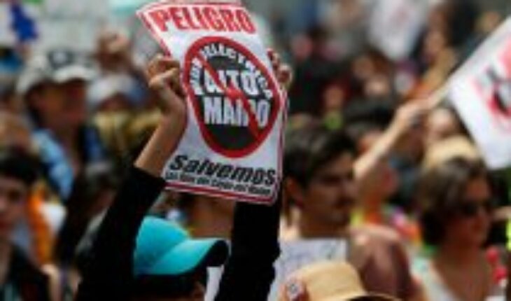 Alto Maipo deberá explicar ante la justicia espionaje a ambientalistas