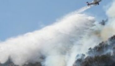Conaf reporta 15 incendios forestales activos a nivel nacional