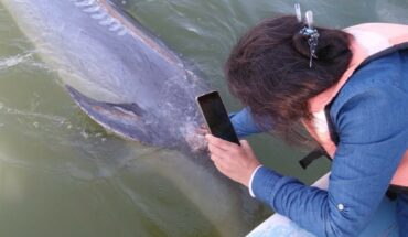 Delfín Pechocho recibe a sus primeros visitantes en Topolobampo