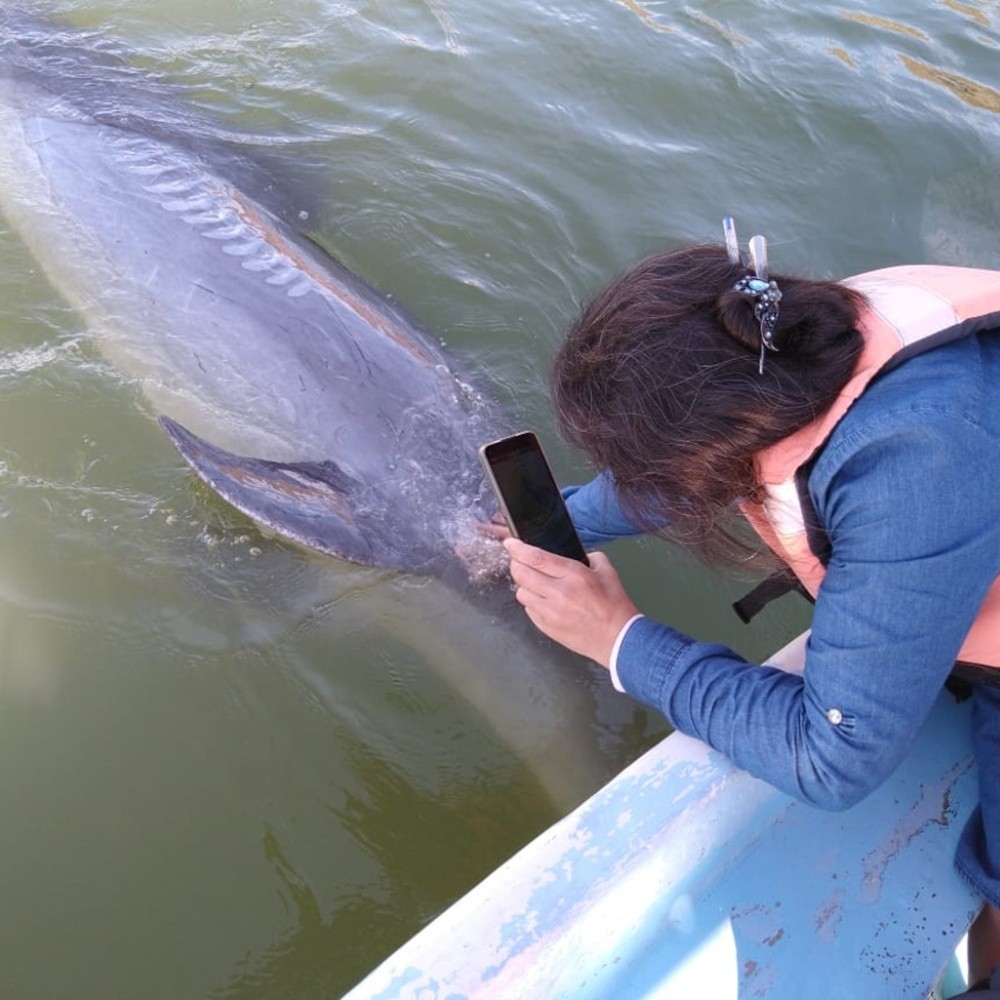 Delfín Pechocho recibe a sus primeros visitantes en Topolobampo