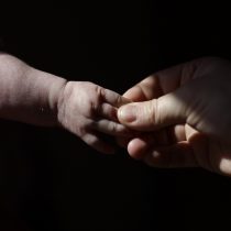 El 15 % de mamás por inseminación artificial en Latinoamérica son solteras