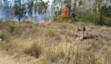 Incendios en Corrientes: las llamas se expanden y crece la preocupación