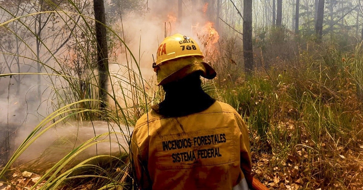 More than 150 firefighters work to quell the fires in the grasslands of Ezeiza