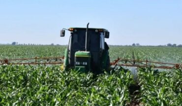 Pierden maíz y trigo en la Bolsa de Granos y Chicago