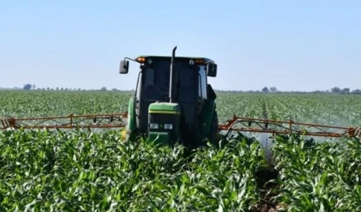 Pierden maíz y trigo en la Bolsa de Granos y Chicago