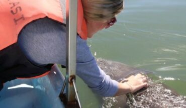 Reactivate tour to Pechocho dolphin cove in Topolobampo