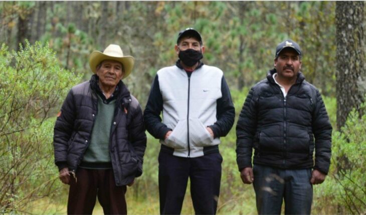 The guardians of the forest that gives water to the city of Xalapa, in Mexico