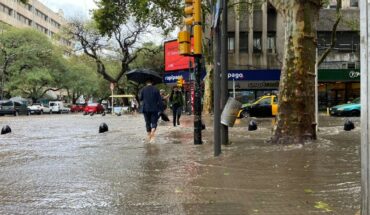 A strong storm of hail and wind hit Mendoza