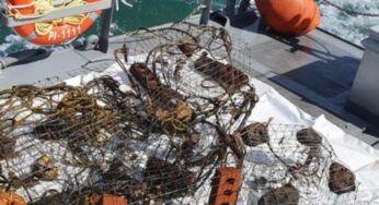 Aseguran artes de pesca para la captura ilegal en Rosarito