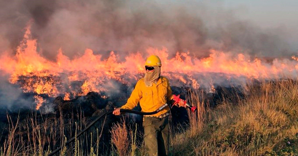 Corrientes, Misiones y Río Negro siguen combatiendo los incendios