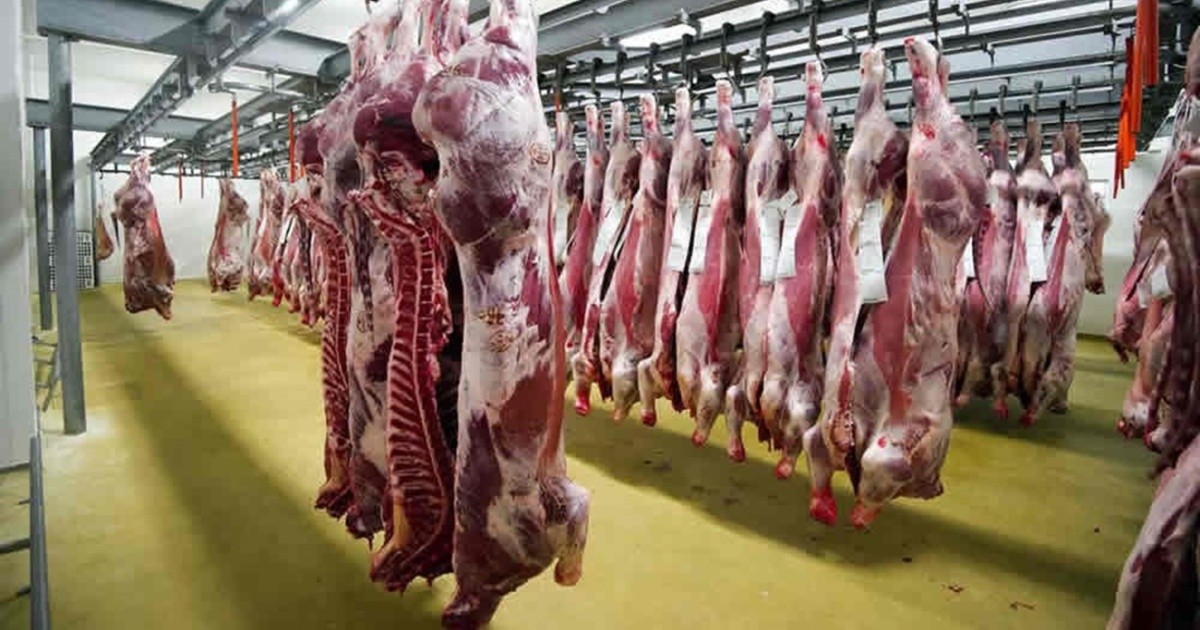 El precio de la carne se desaceleró en enero luego de trepar 20% en dos meses