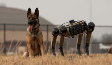 Estados Unidos considera usar perros robots para cuidar frontera