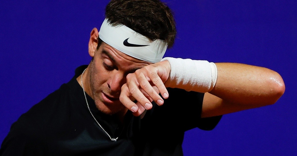 Juan Martín Del Potro fell in the first round of the Argentina Open