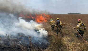 Más de 70 causas por incendios intencionales en Corrientes