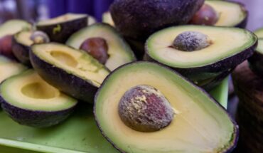 Mexico Resumes Avocado Export to the United States