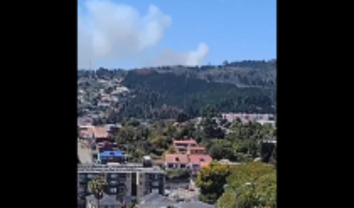 Onemi declara Alerta Roja para la comuna de Penco por incendio forestal: fuego se acerca a las viviendas