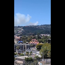 Onemi declara Alerta Roja para la comuna de Penco por incendio forestal: fuego se acerca a las viviendas