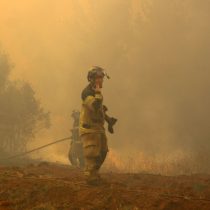 Onemi reports 34 active wildfires nationwide