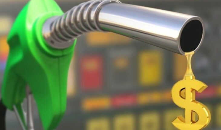 Postergan hasta junio la actualización del impuesto a los combustibles líquidos
