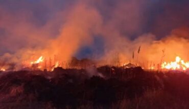 Se incendió una reserva forestal en la zona sur de Mar del Plata