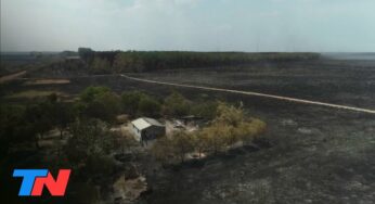 Video: Arde Corrientes: los incendios en los Esteros del Iberá no dan tregua. Hablan de desastre ambiental