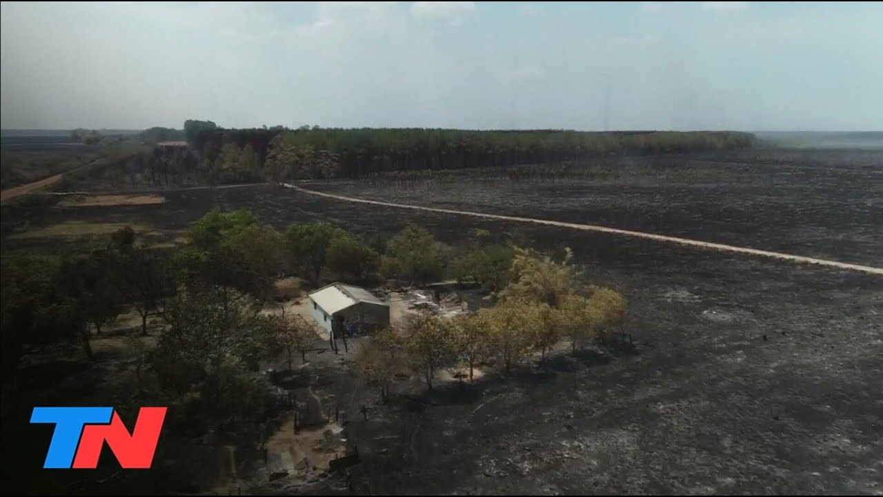 Arde Corrientes: los incendios en los Esteros del Iberá no dan tregua. Hablan de desastre ambiental