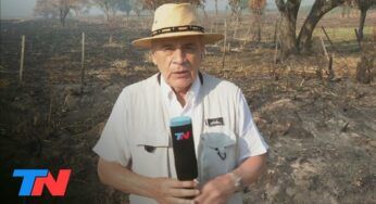 Video: Corrientes bajo fuego: implacables, los incendios ya quemaron más de 335.000 hectáreas