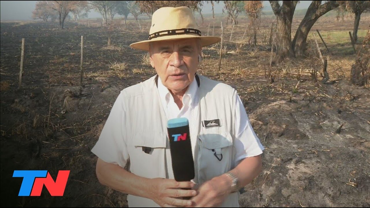 Corrientes bajo fuego: implacables, los incendios ya quemaron más de 335.000 hectáreas
